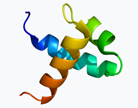 MYB molecule