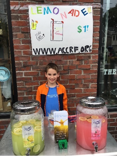 Lemonade Stand 2017